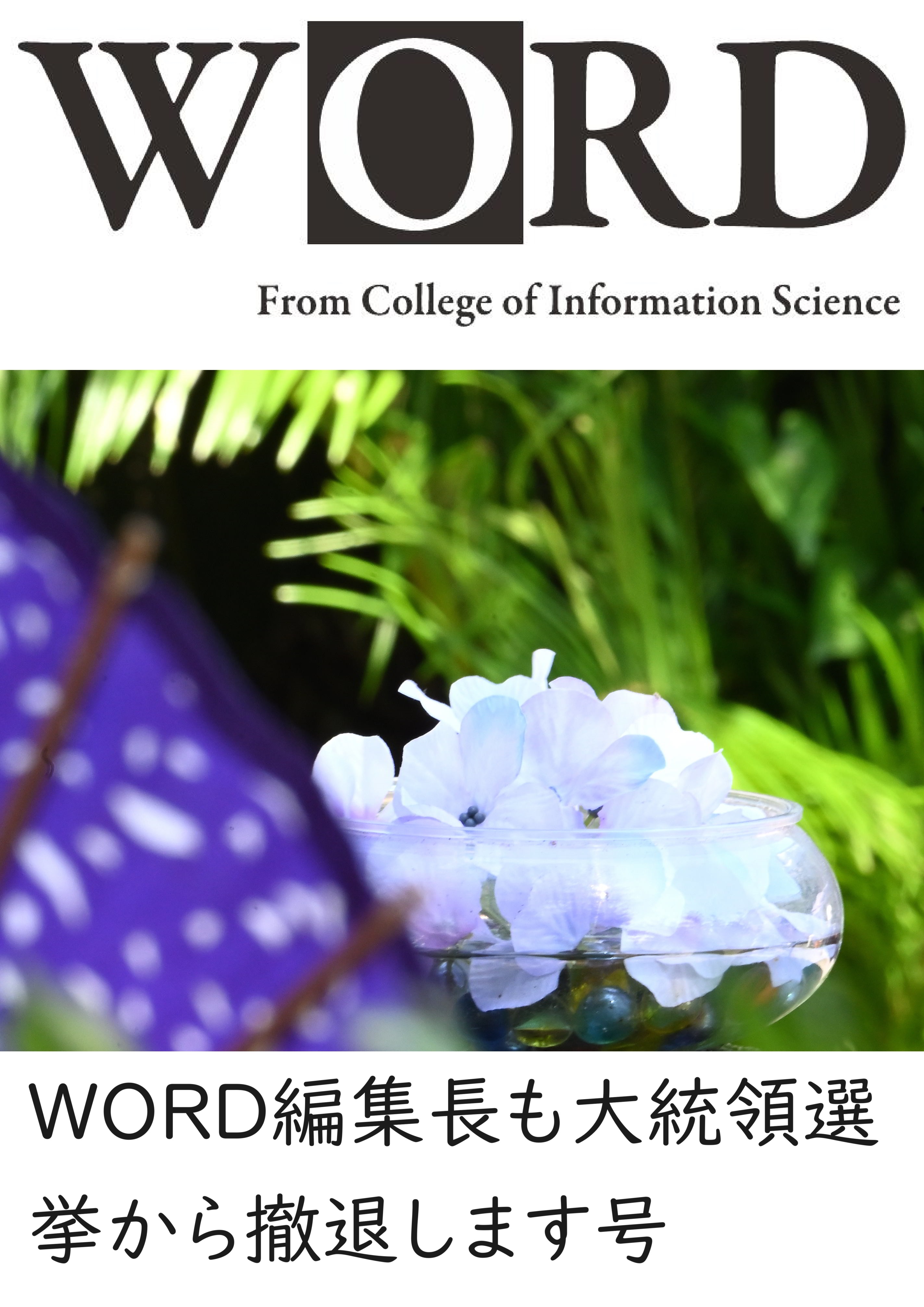 word55cover